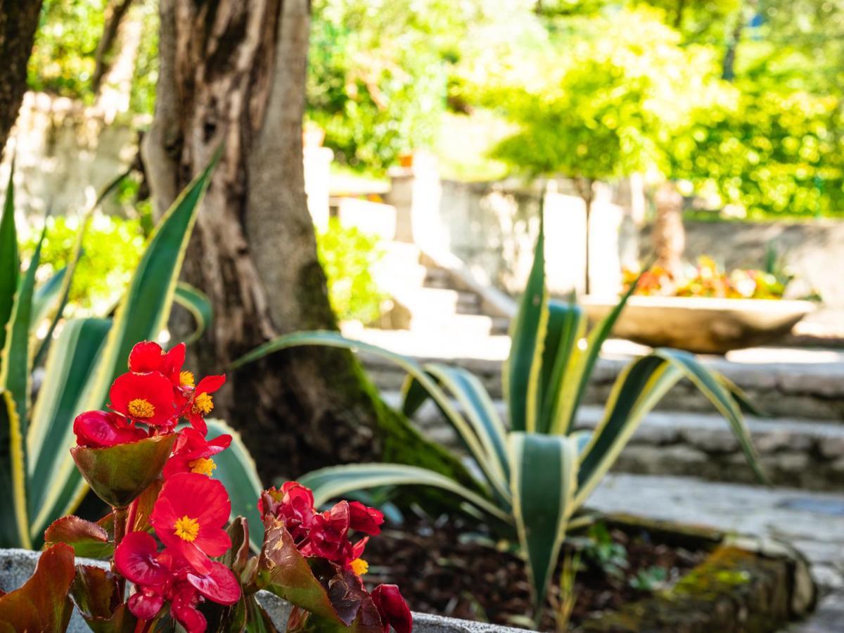 Hotel Leonardo Da Vinci Limone sul Garda Εξωτερικό φωτογραφία